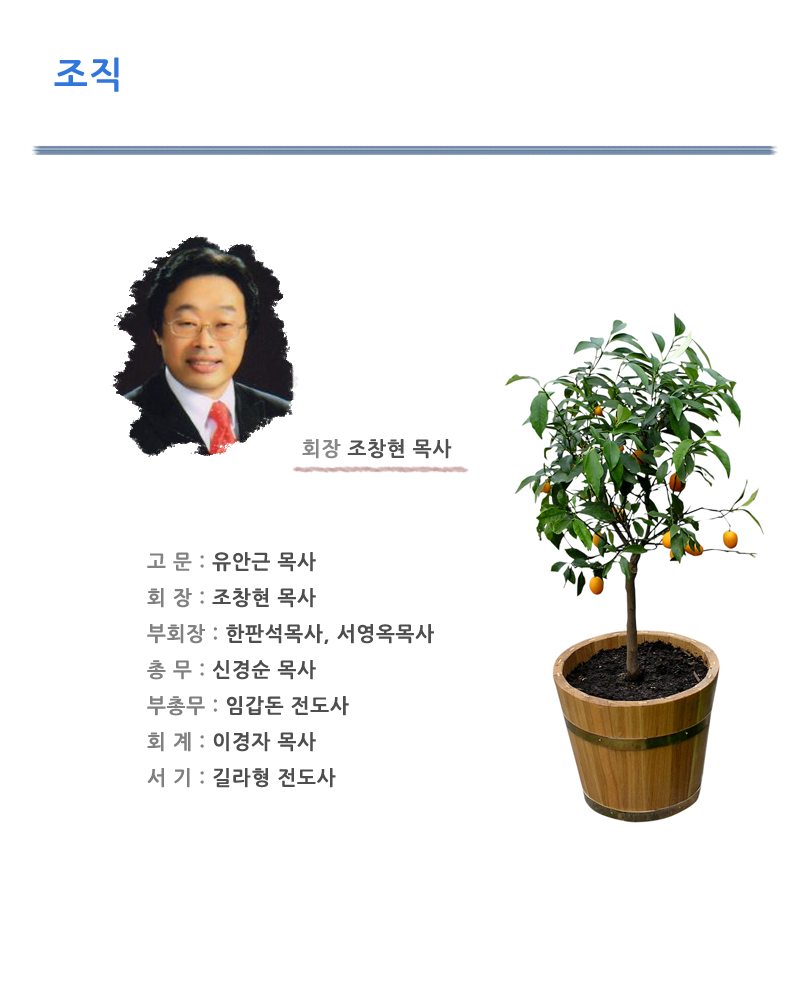 조직.jpg